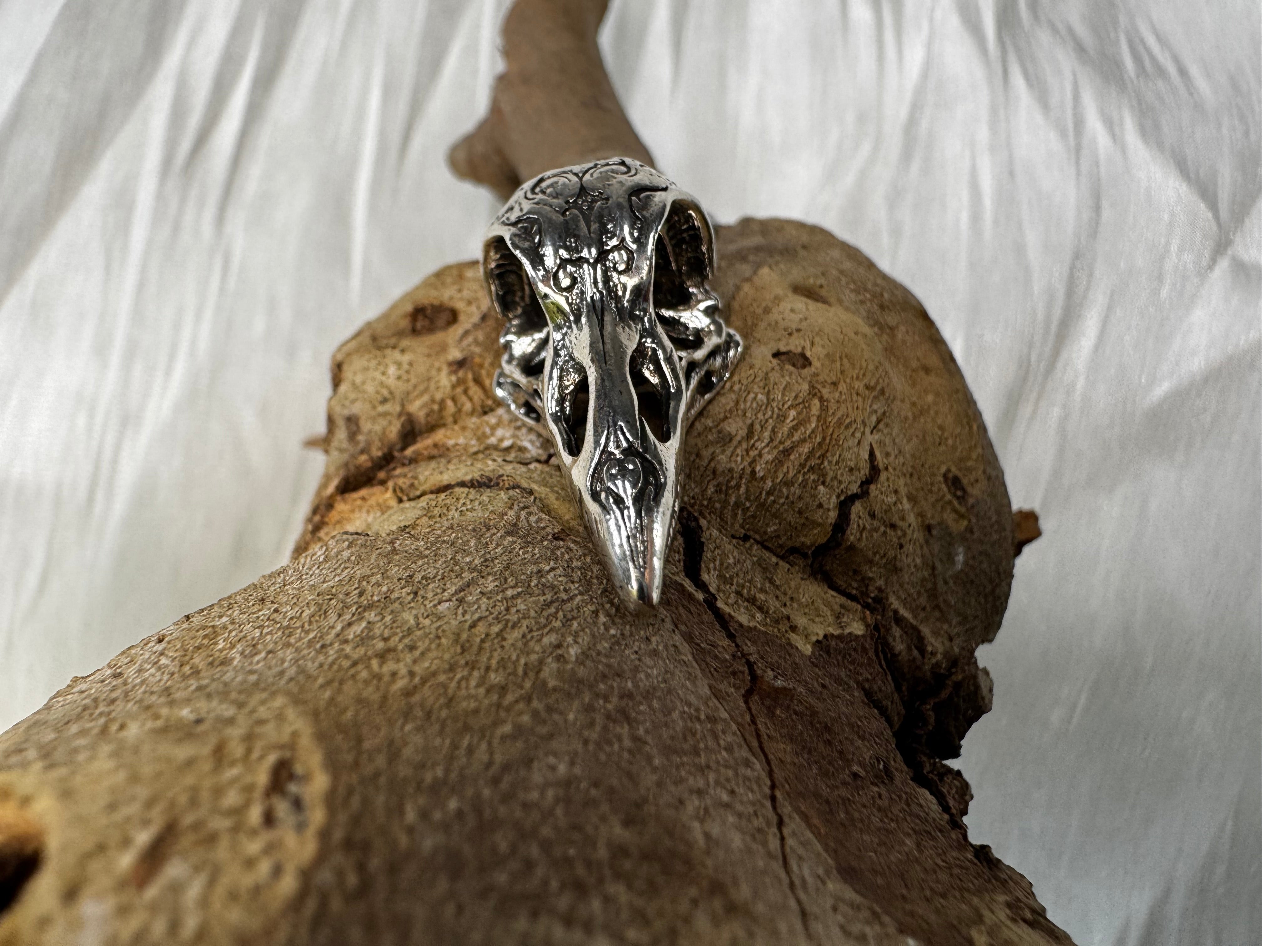 Silver Raven Skull Stainless Steel Pendant