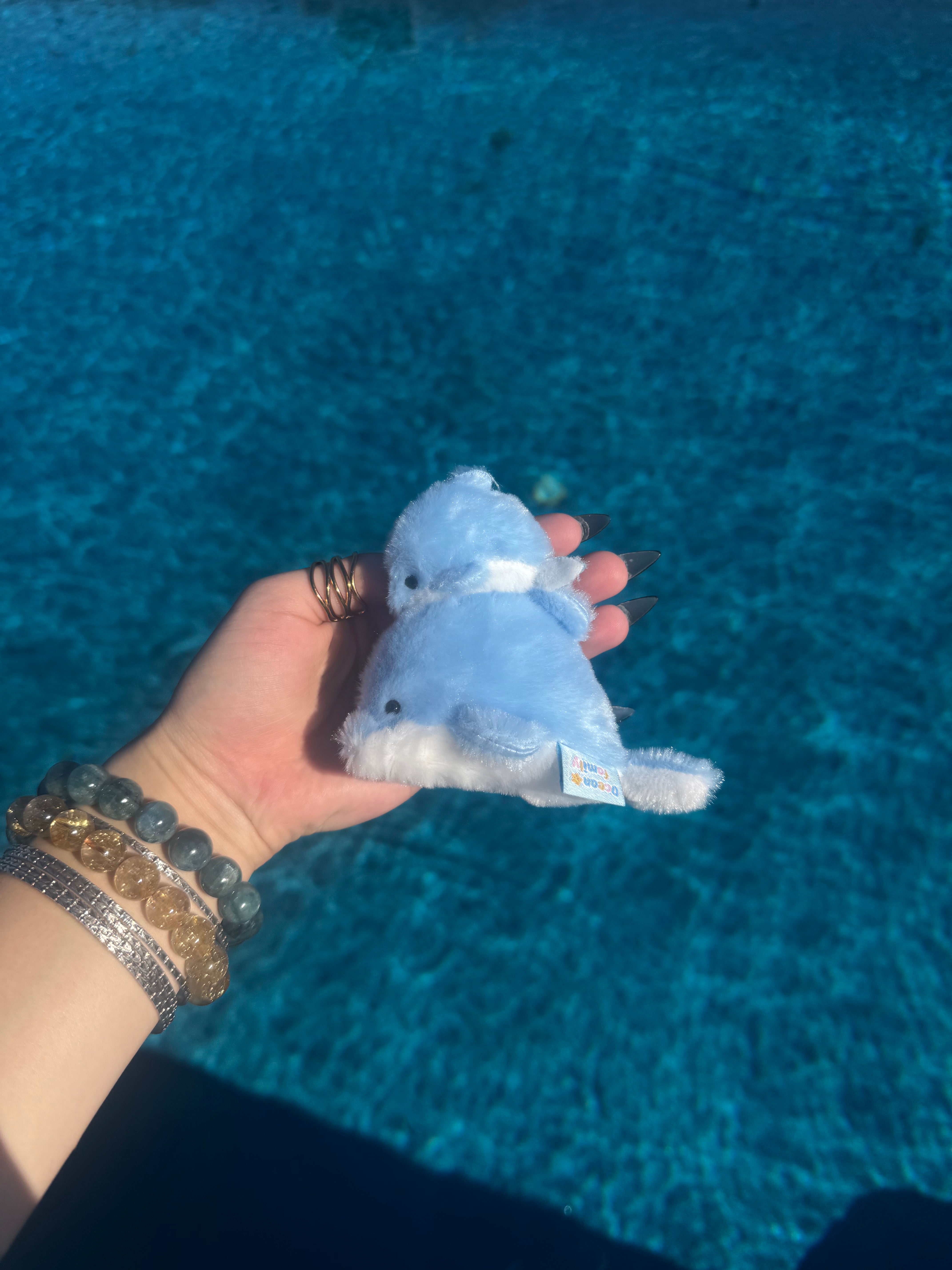 Dolphin & Baby Keychain