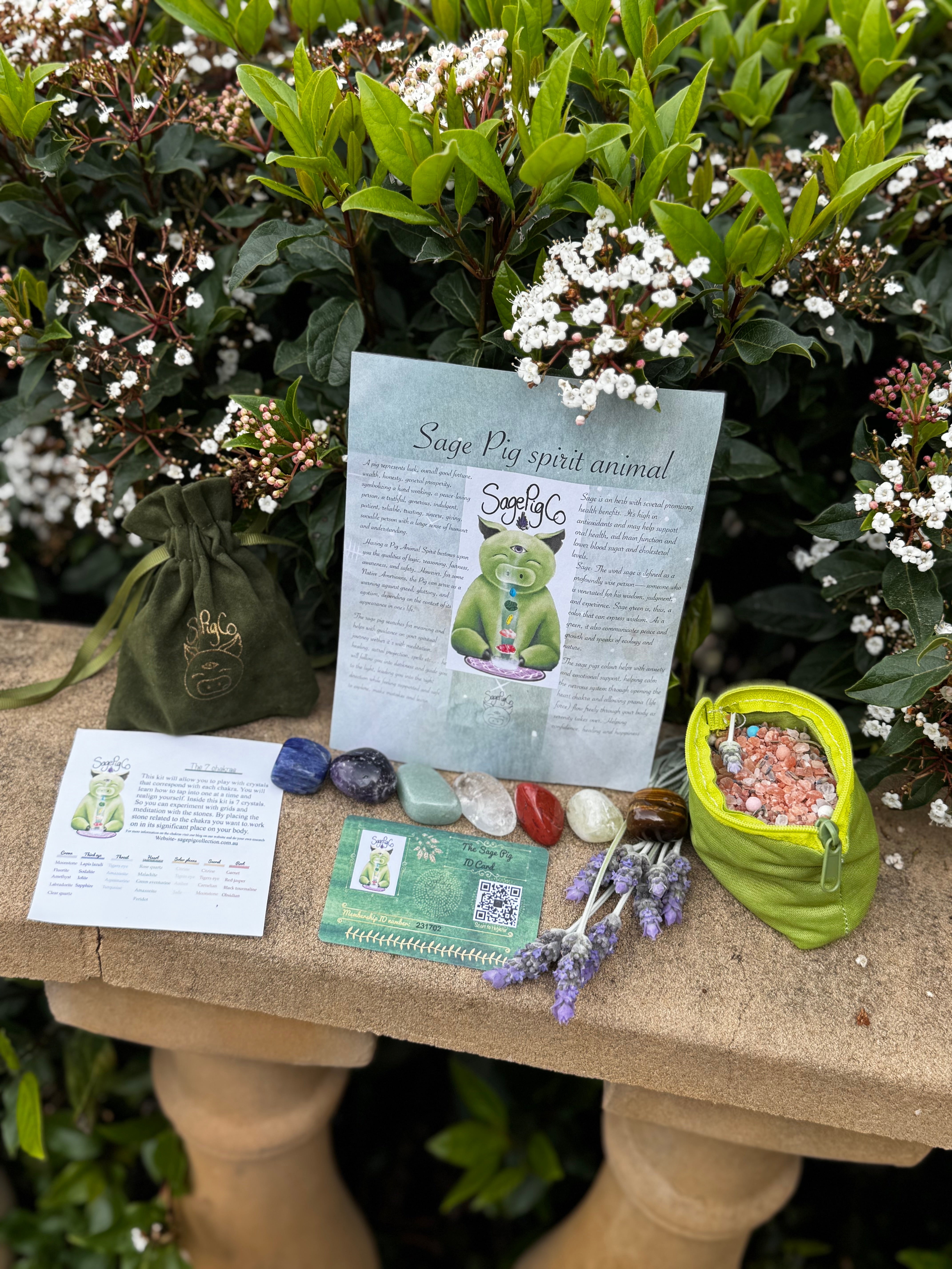 Sage Pig Plushie with Heat Pack and Chakra Stones