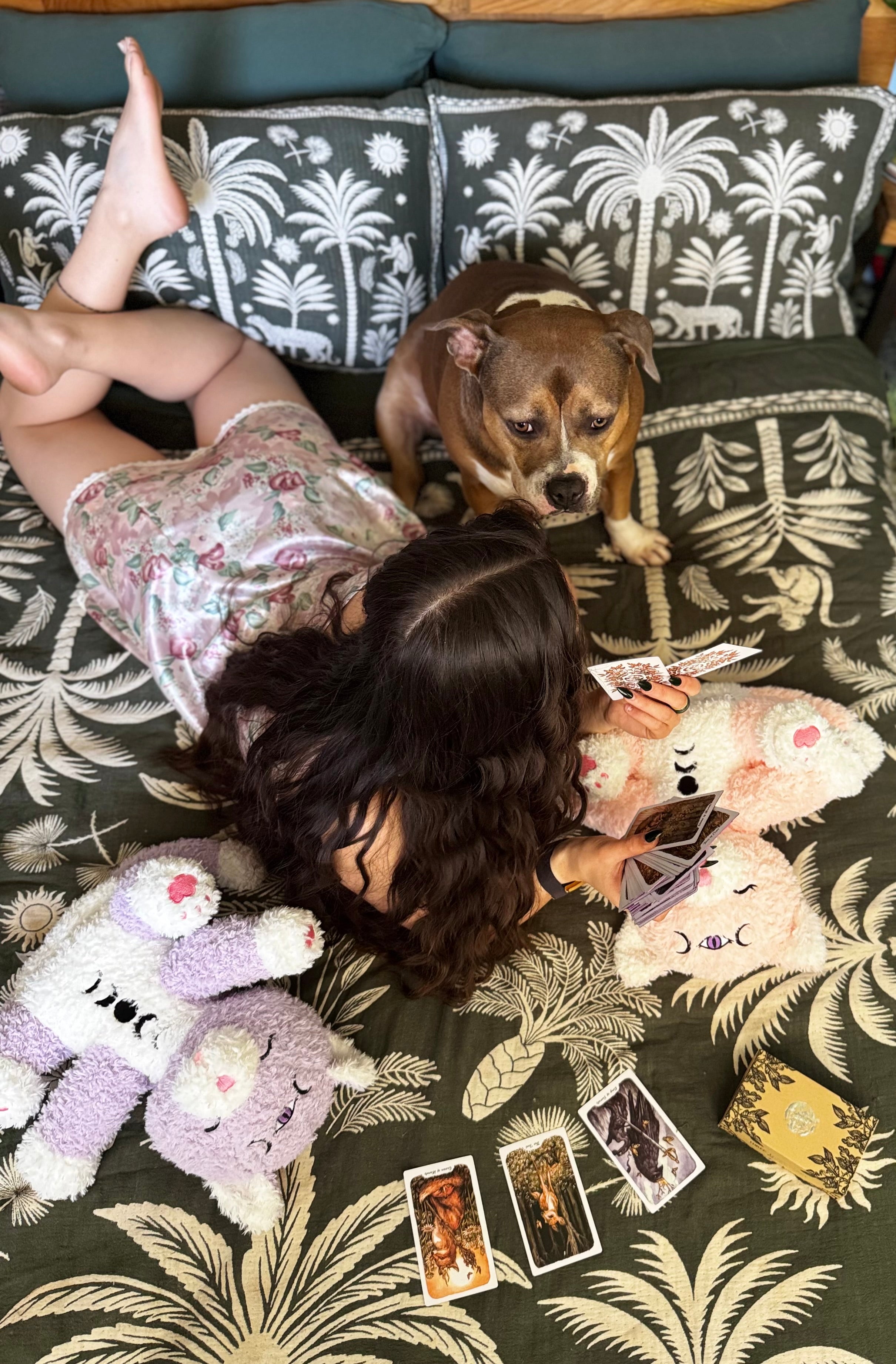 Purple Kamari or Astrea Cat - Weighted Plushies - Full set