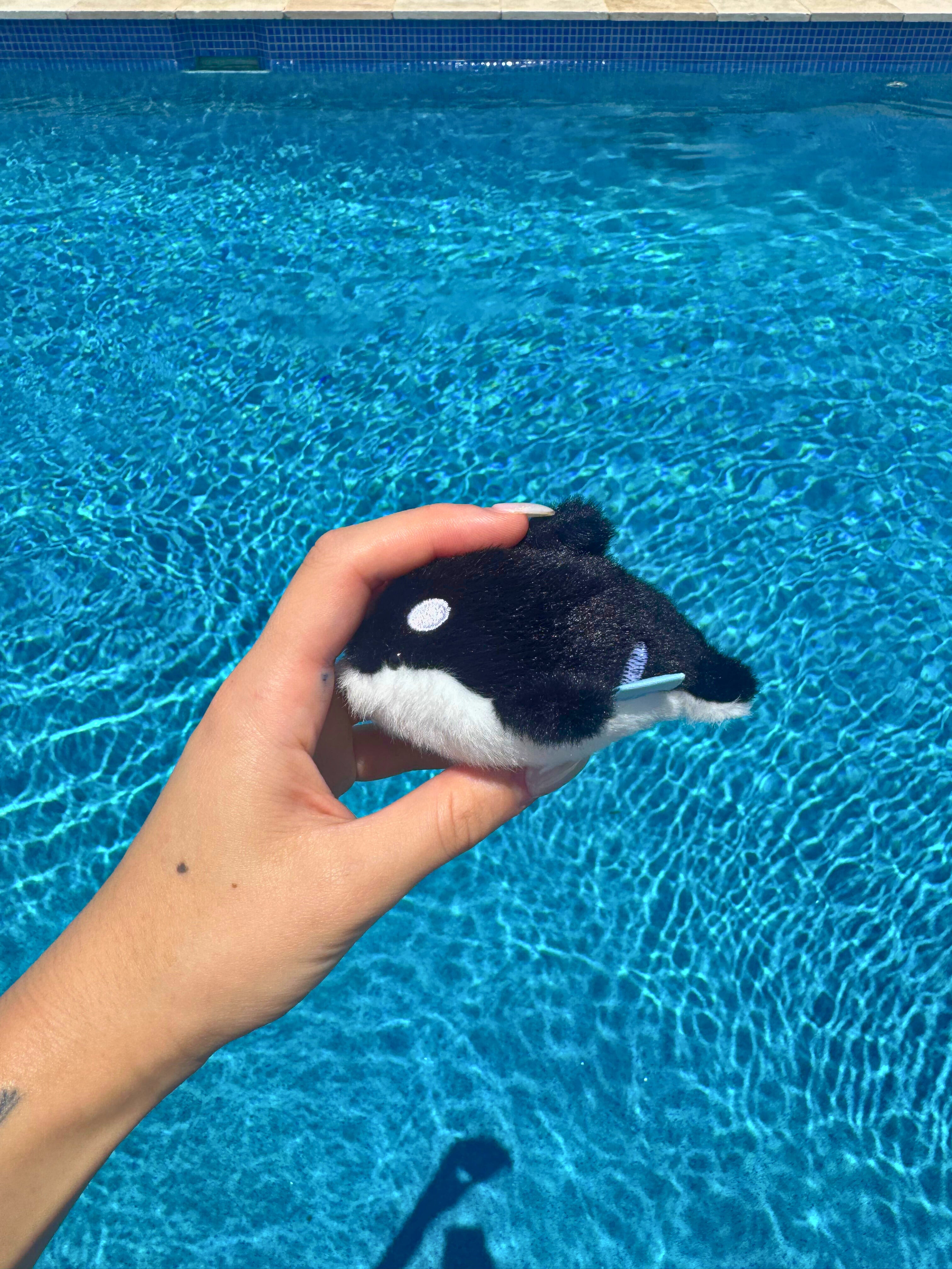Orca Keychain