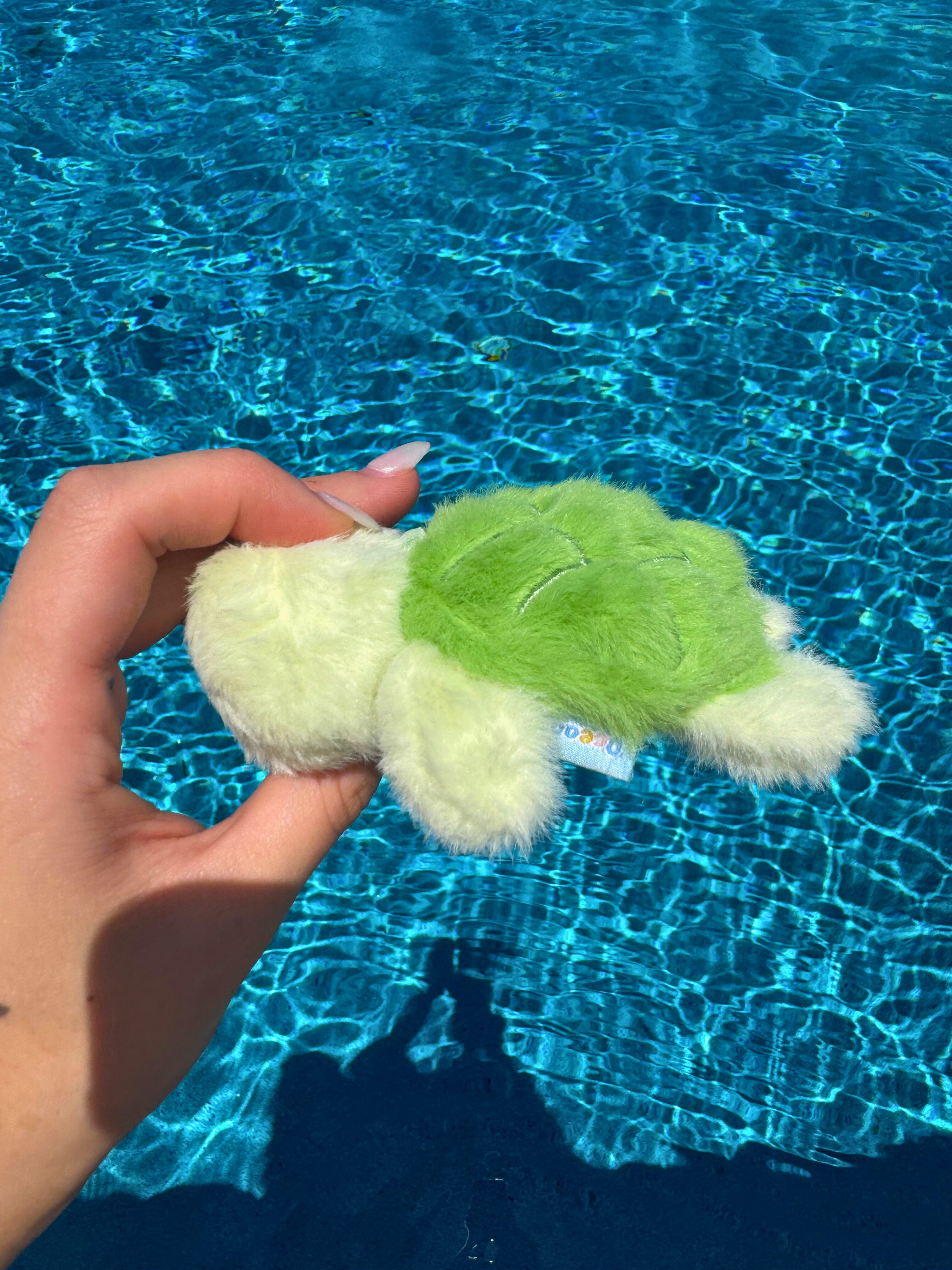 Turtle Keychain