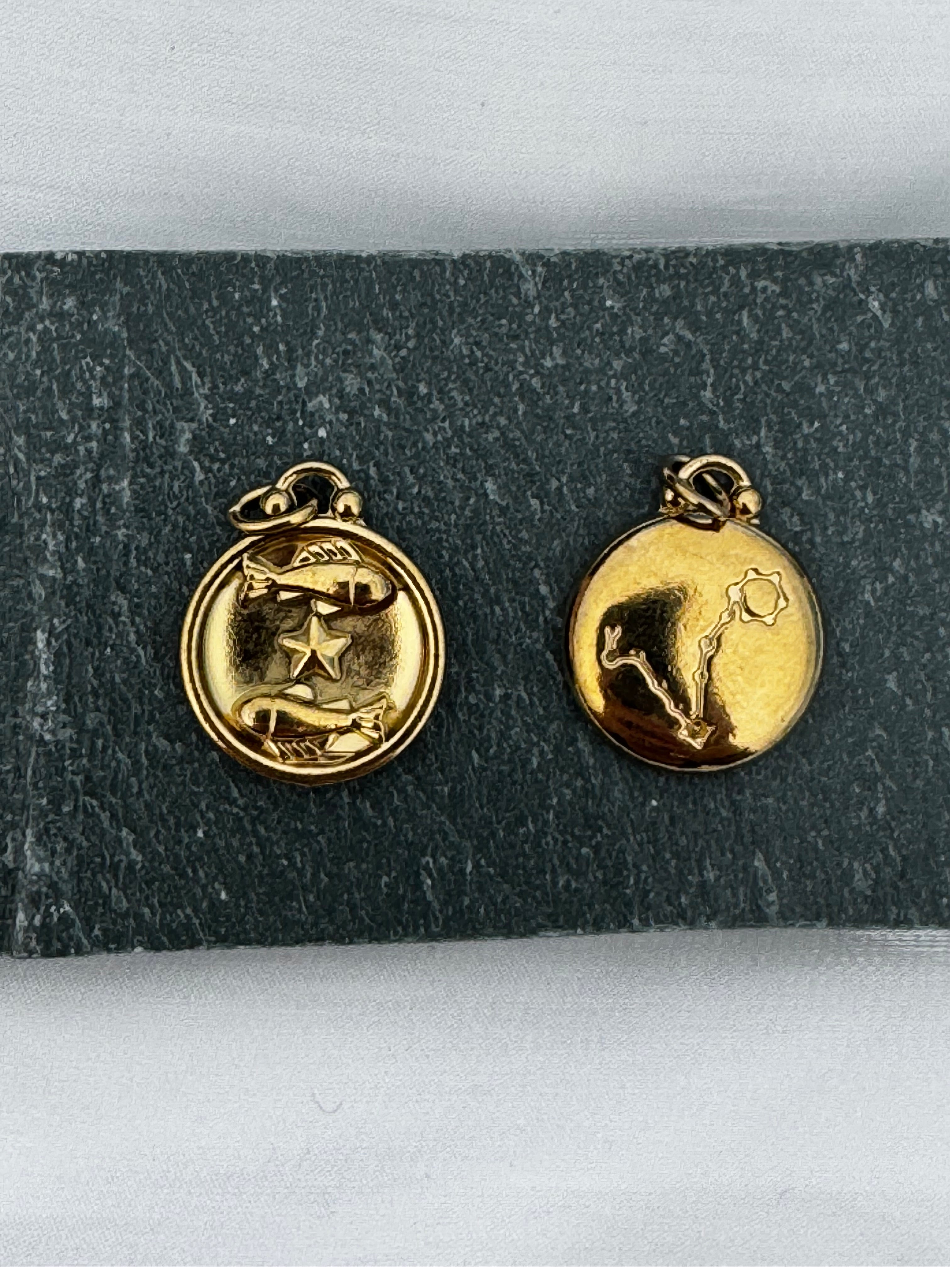 12 Gold Zodiac and Constellation Star sign Coin Necklace