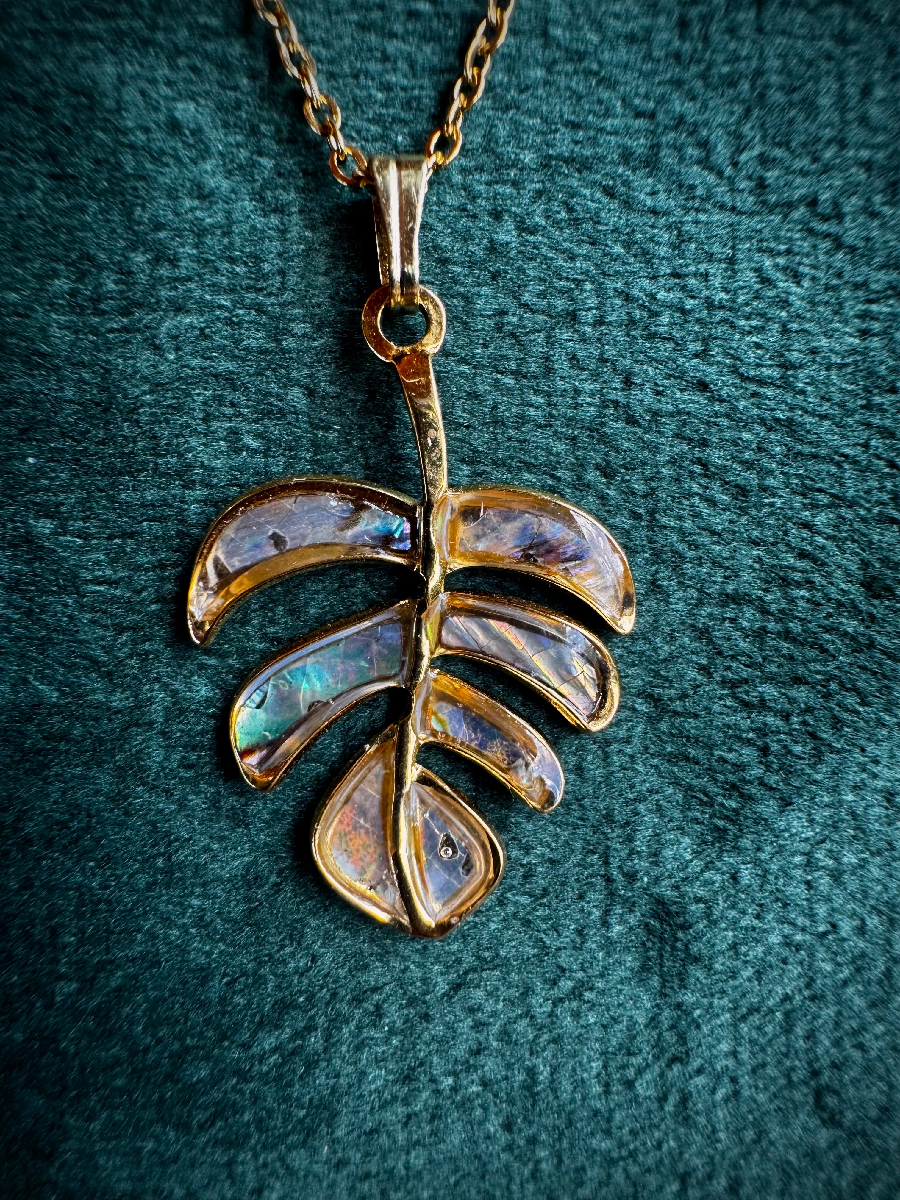 Abalone Monstera Leaf