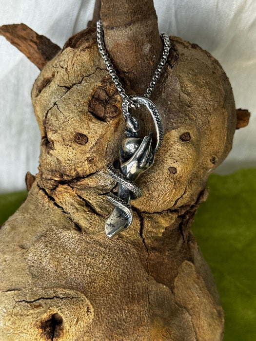 Silver Snake in Hand Stainless Steel Pendant