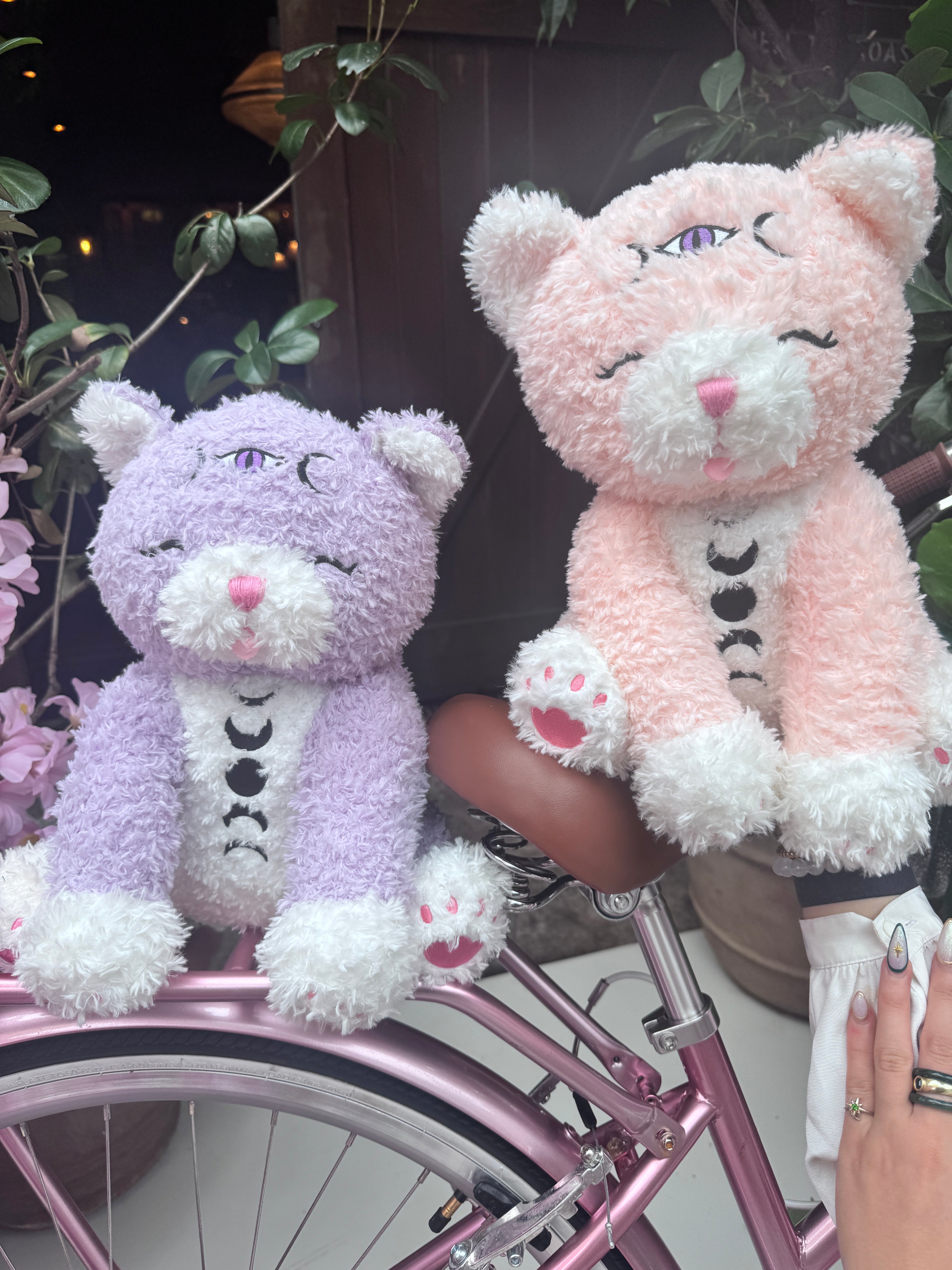 Kamari and Astraea Cat - emotional support Plushies