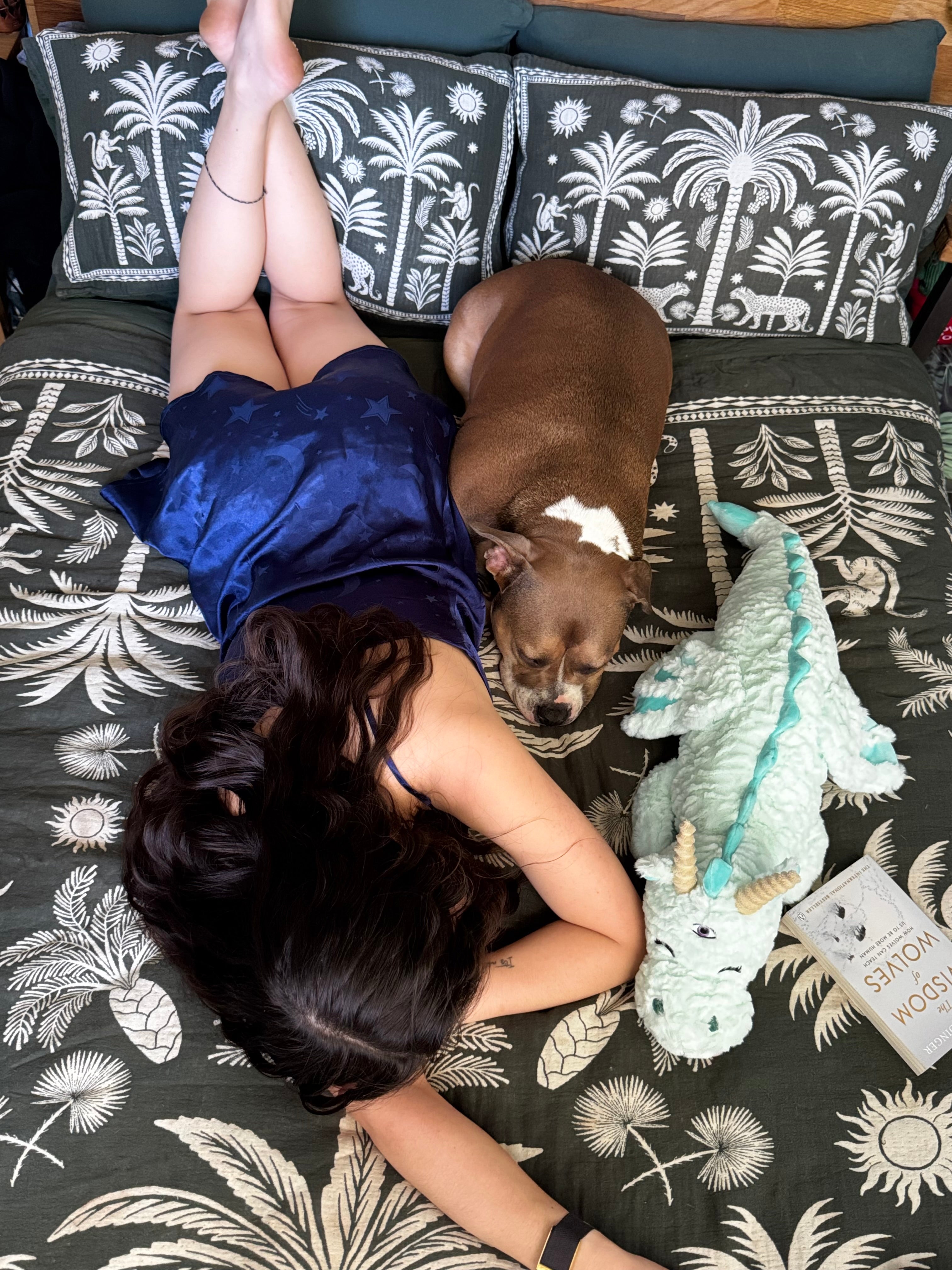 Trident the Dragon Soft Plushie