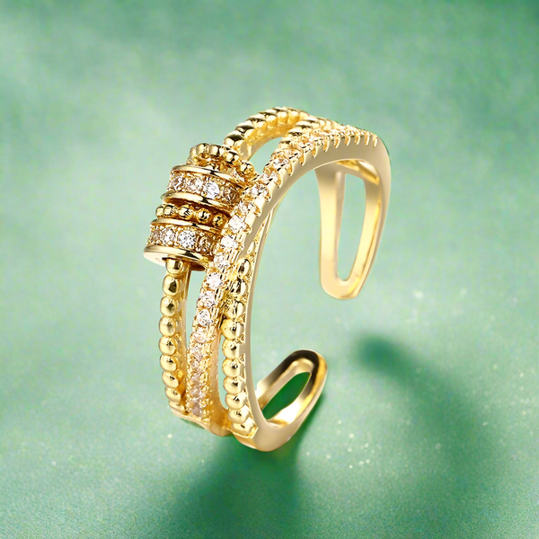 Gold Fidget Ring