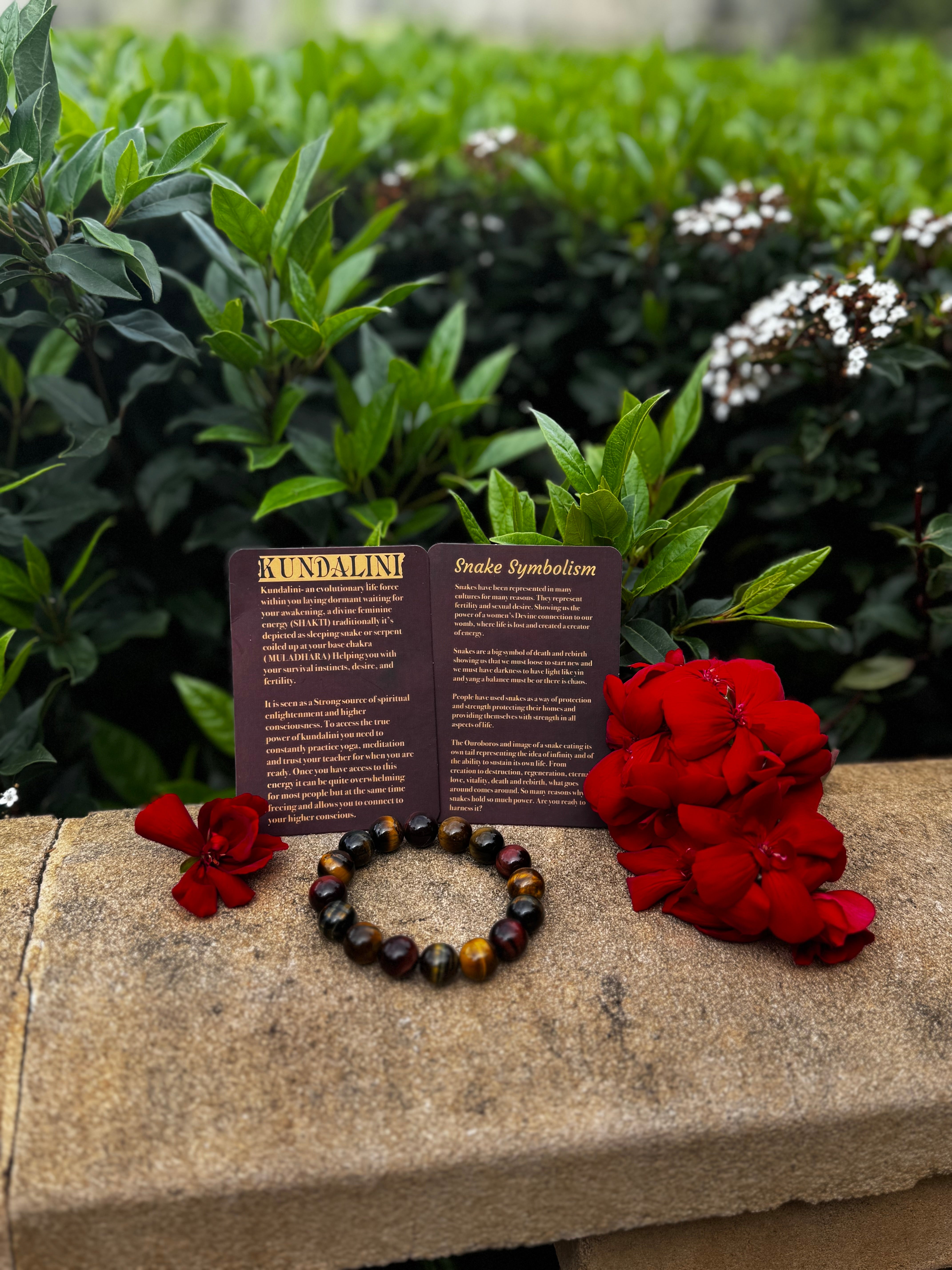 Kundalini Weighted Snake Plushie + Tiger Eyes Bracelet