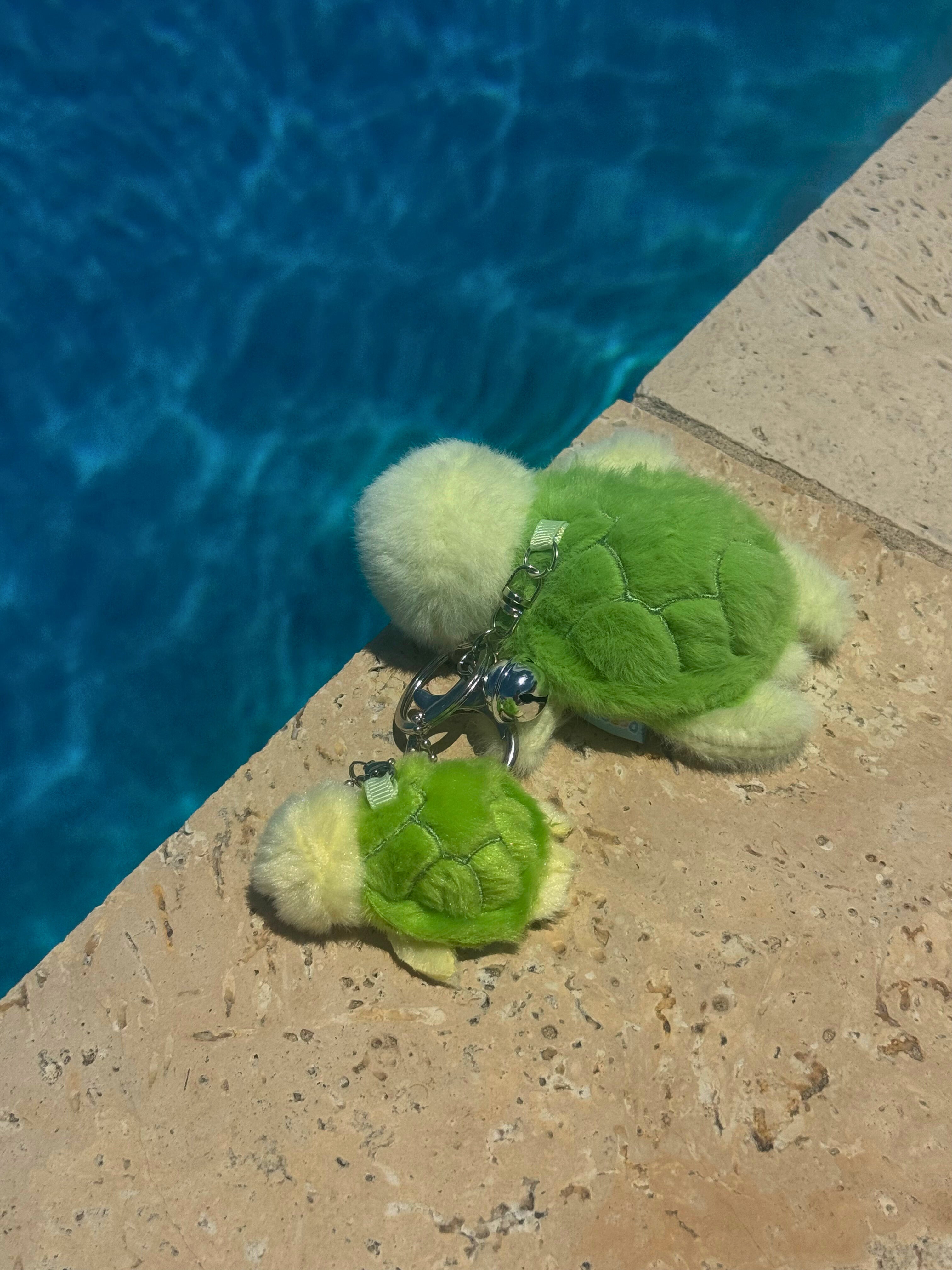 Turtle & Baby Keychain