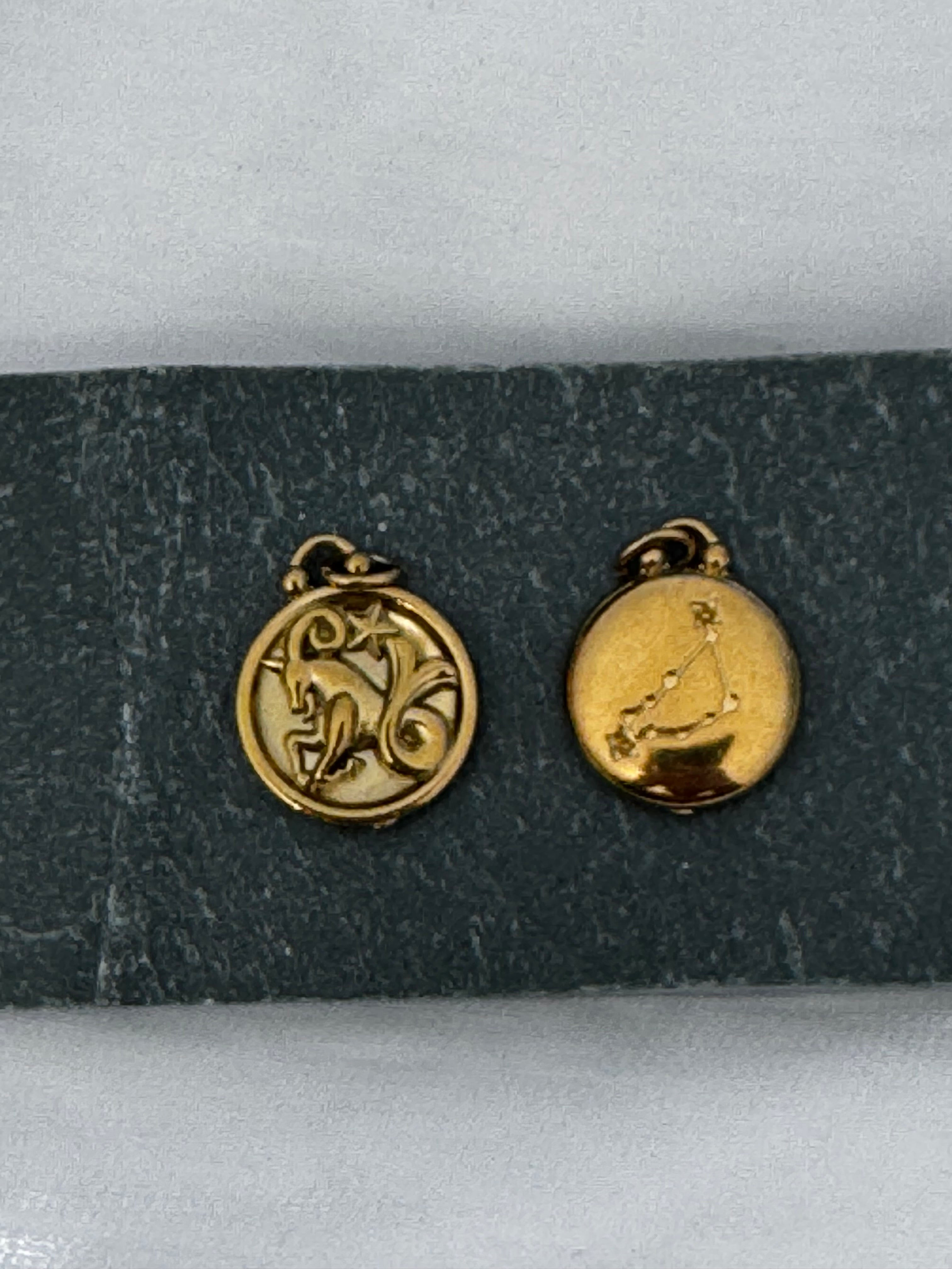 12 Gold Zodiac and Constellation Star sign Coin Necklace