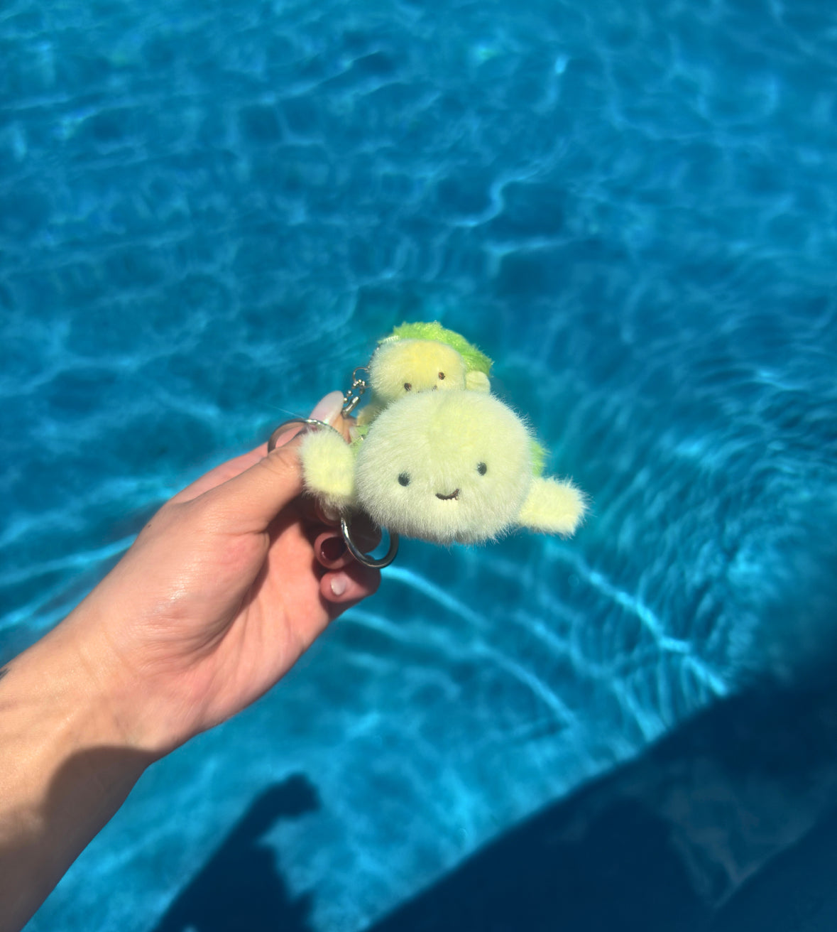 Turtle & Baby Keychain