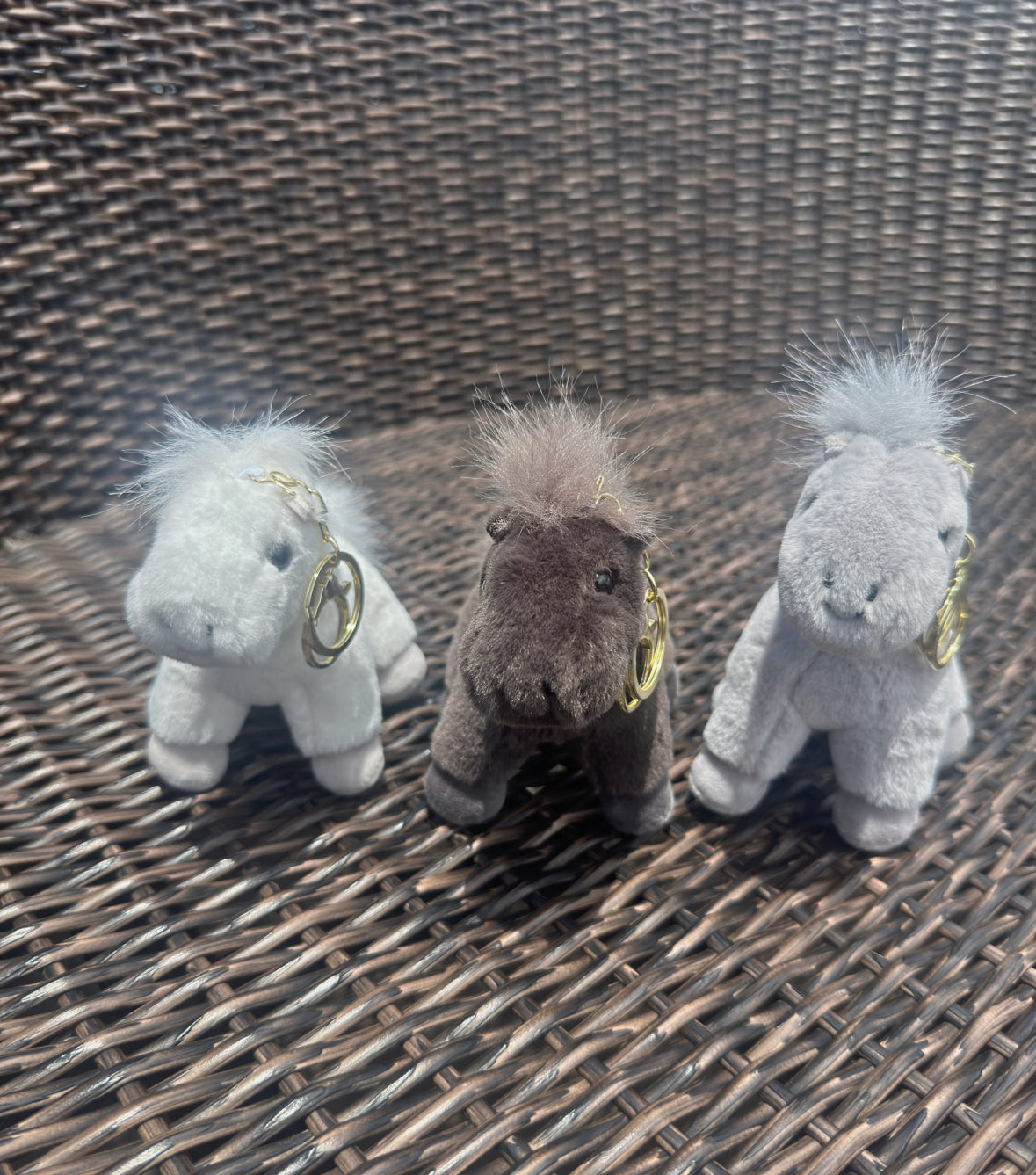 Wild Horse Keychains