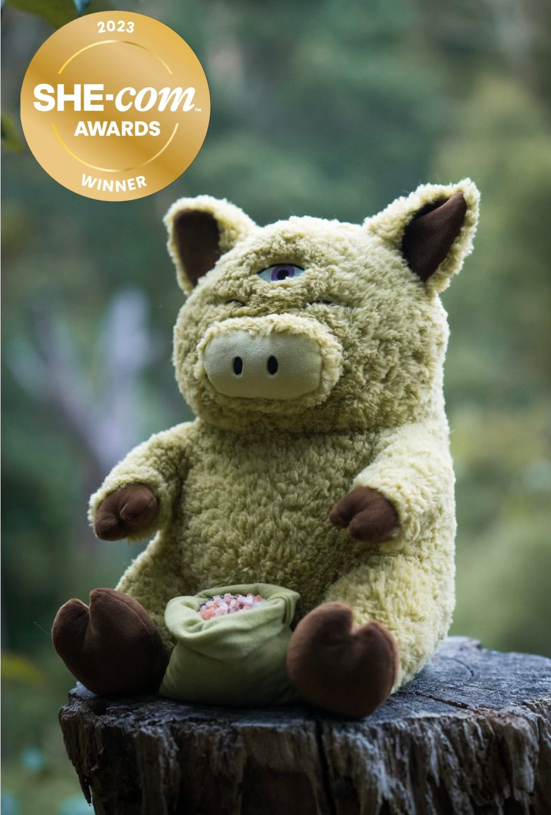 Sage Pig Plushie with Heat Pack and Chakra Stones