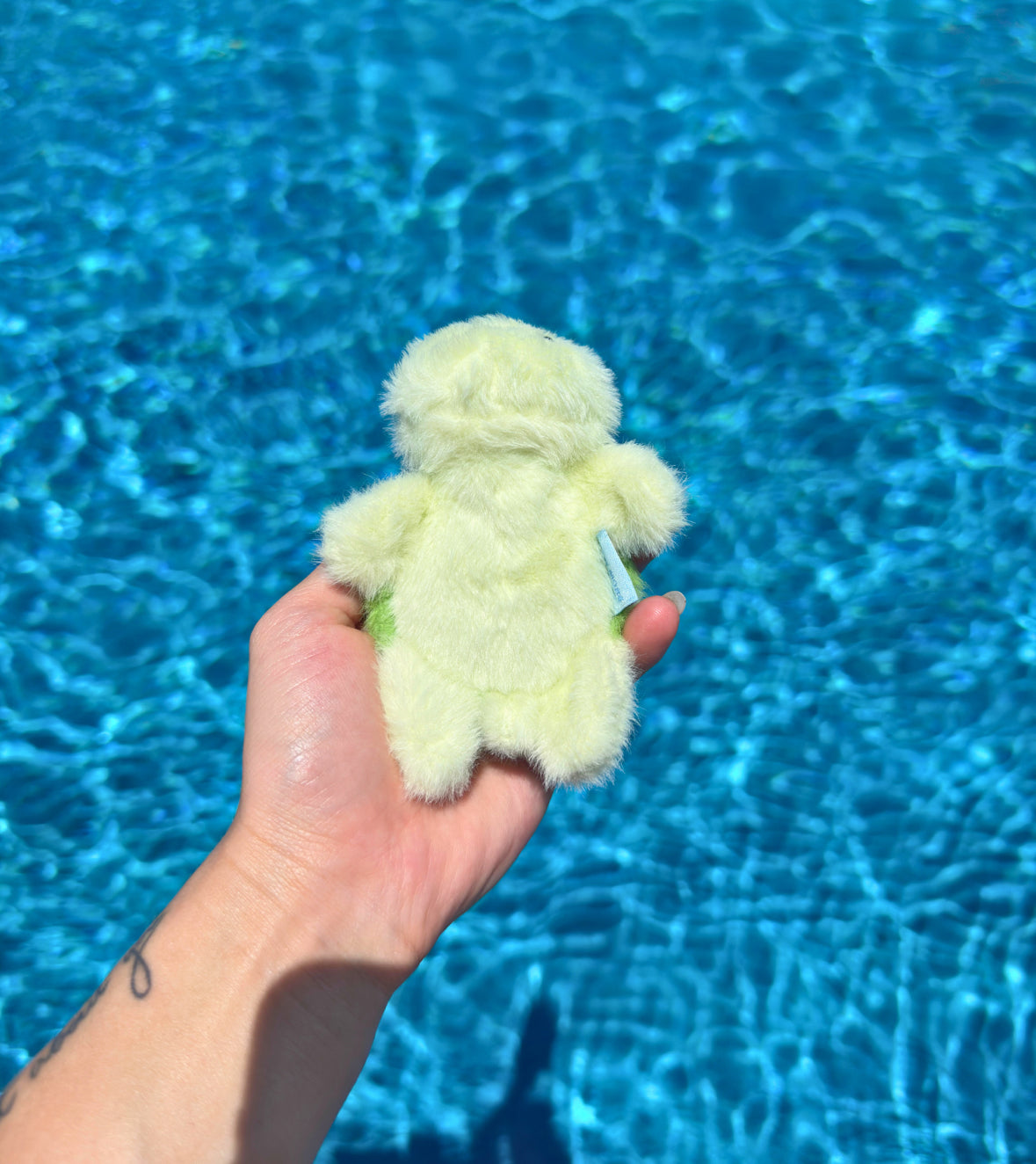 Turtle Keychain