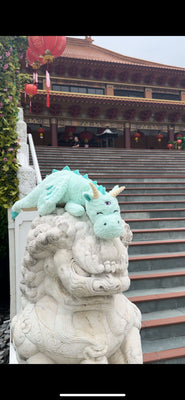 Dragon Themed