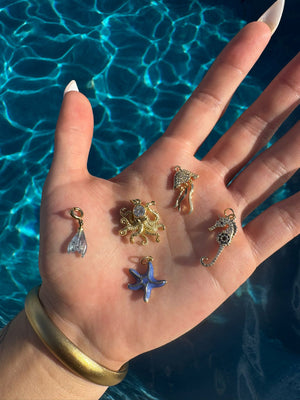 Ocean Themed