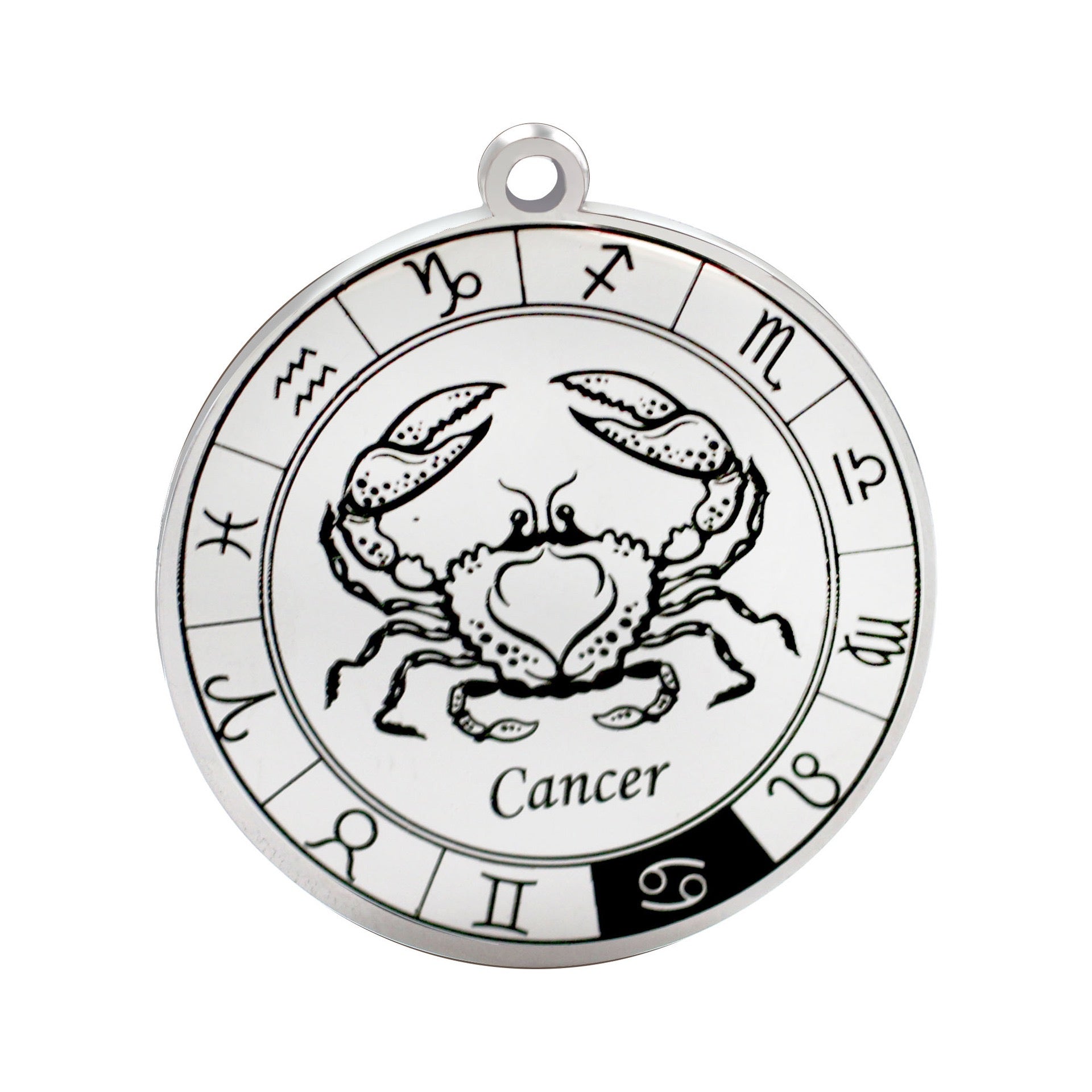 stainless steel zodiac pendant