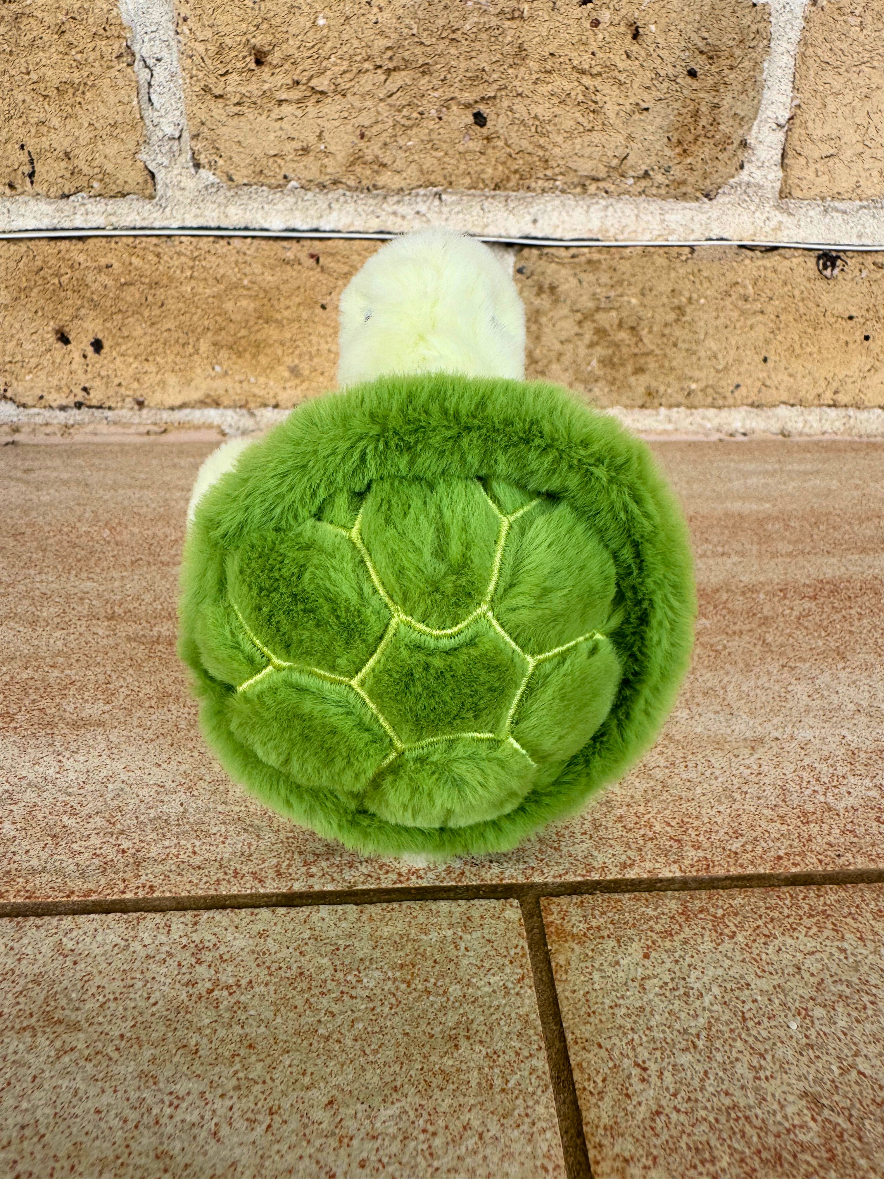 Workout Turtle Keychain