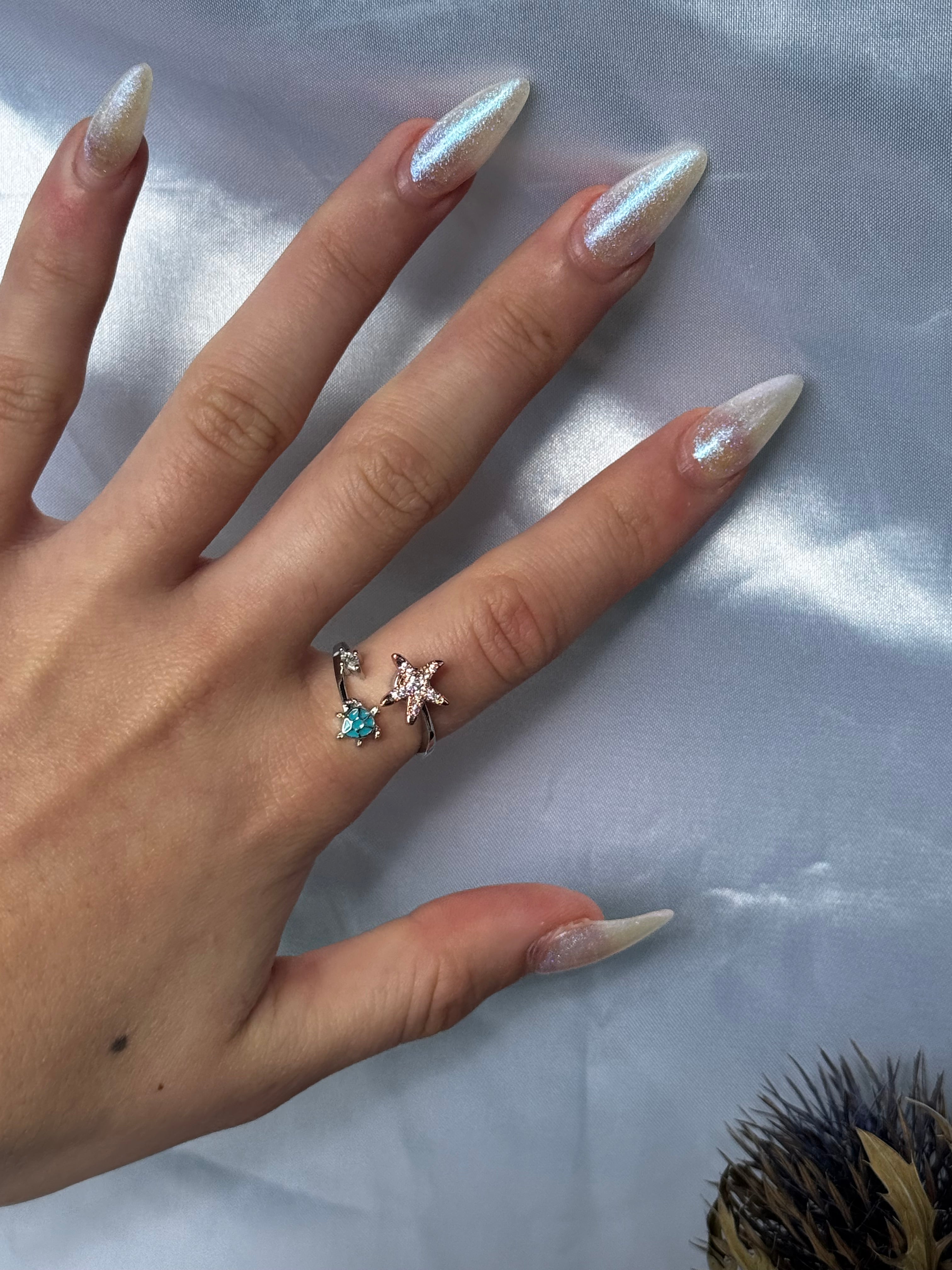 Sea turtles & Star Fidget ring