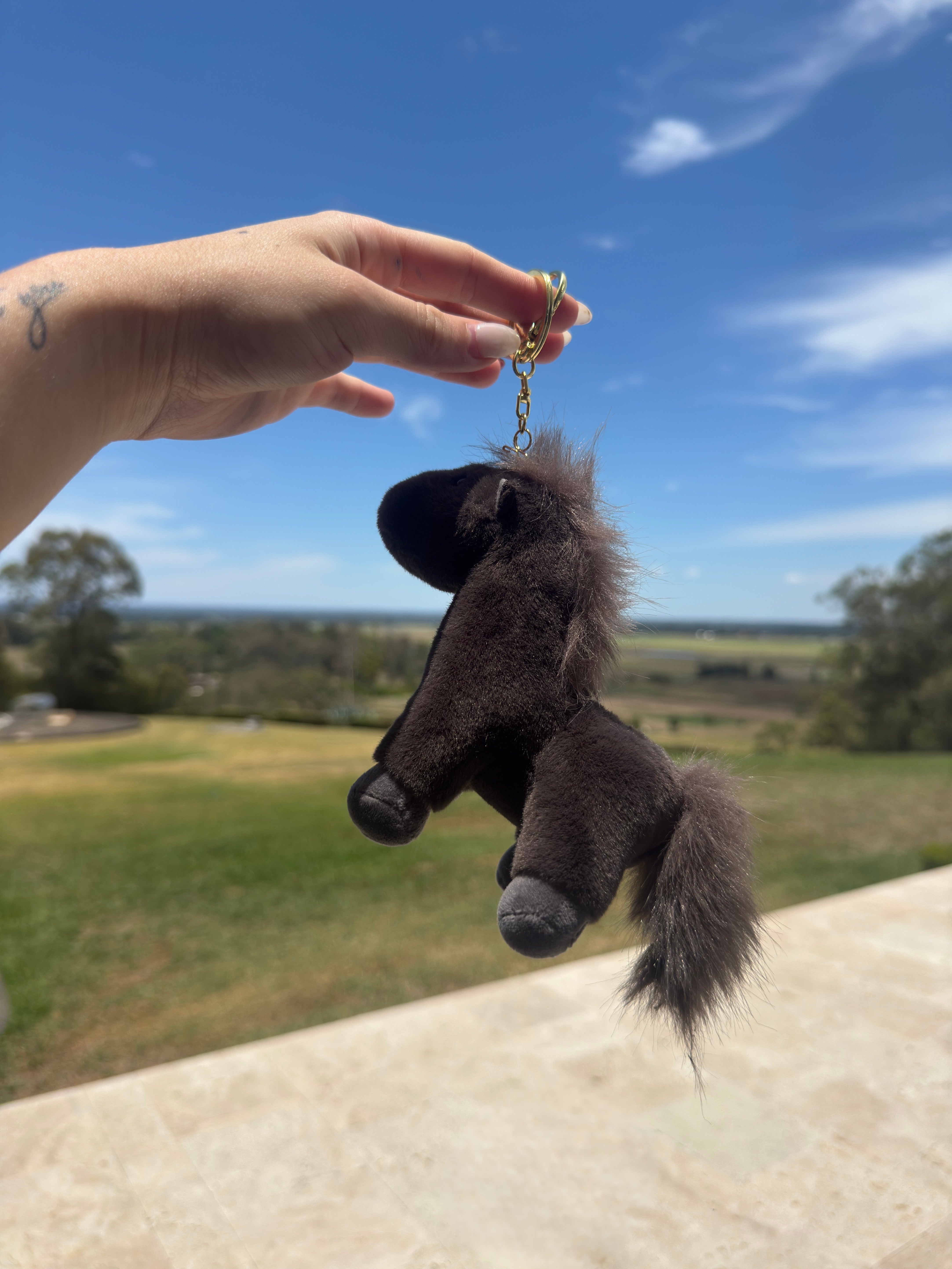 Wild Horse Keychains