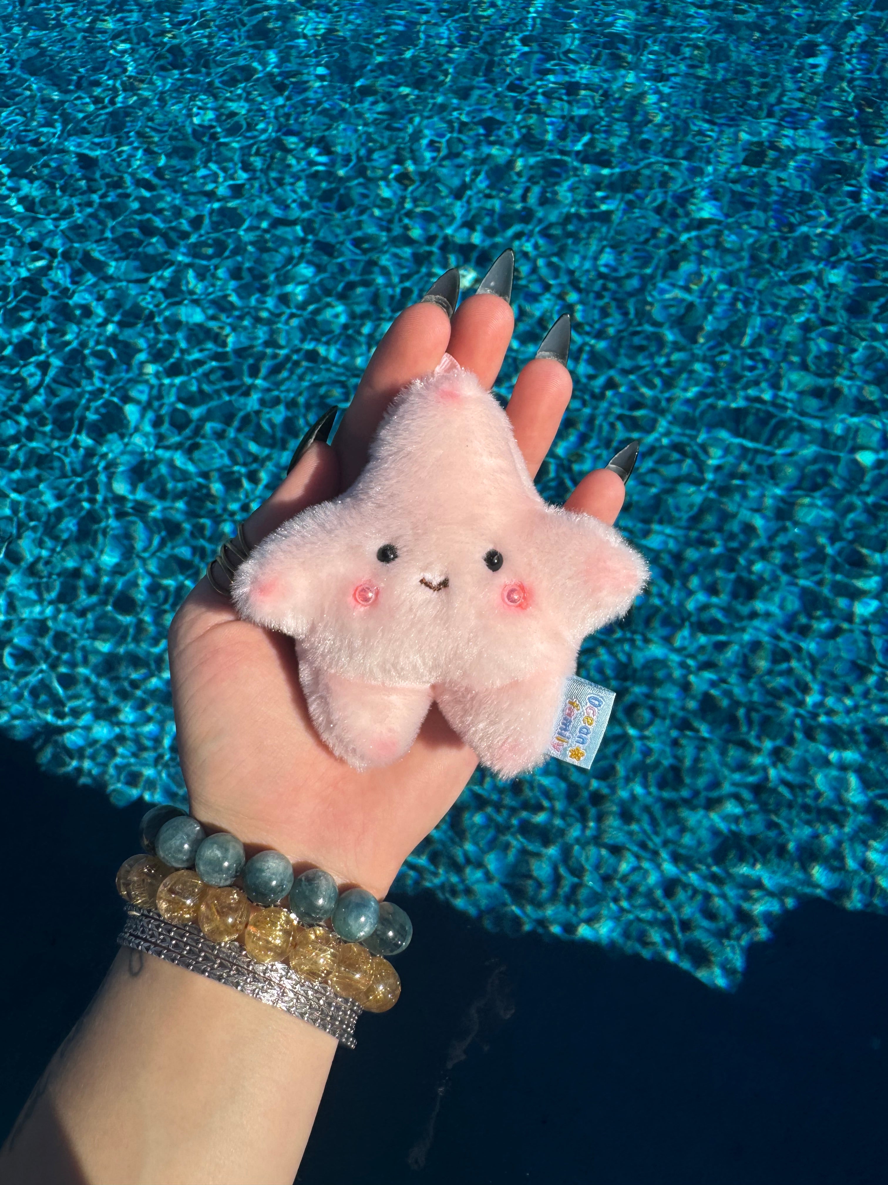 Starfish Keychain