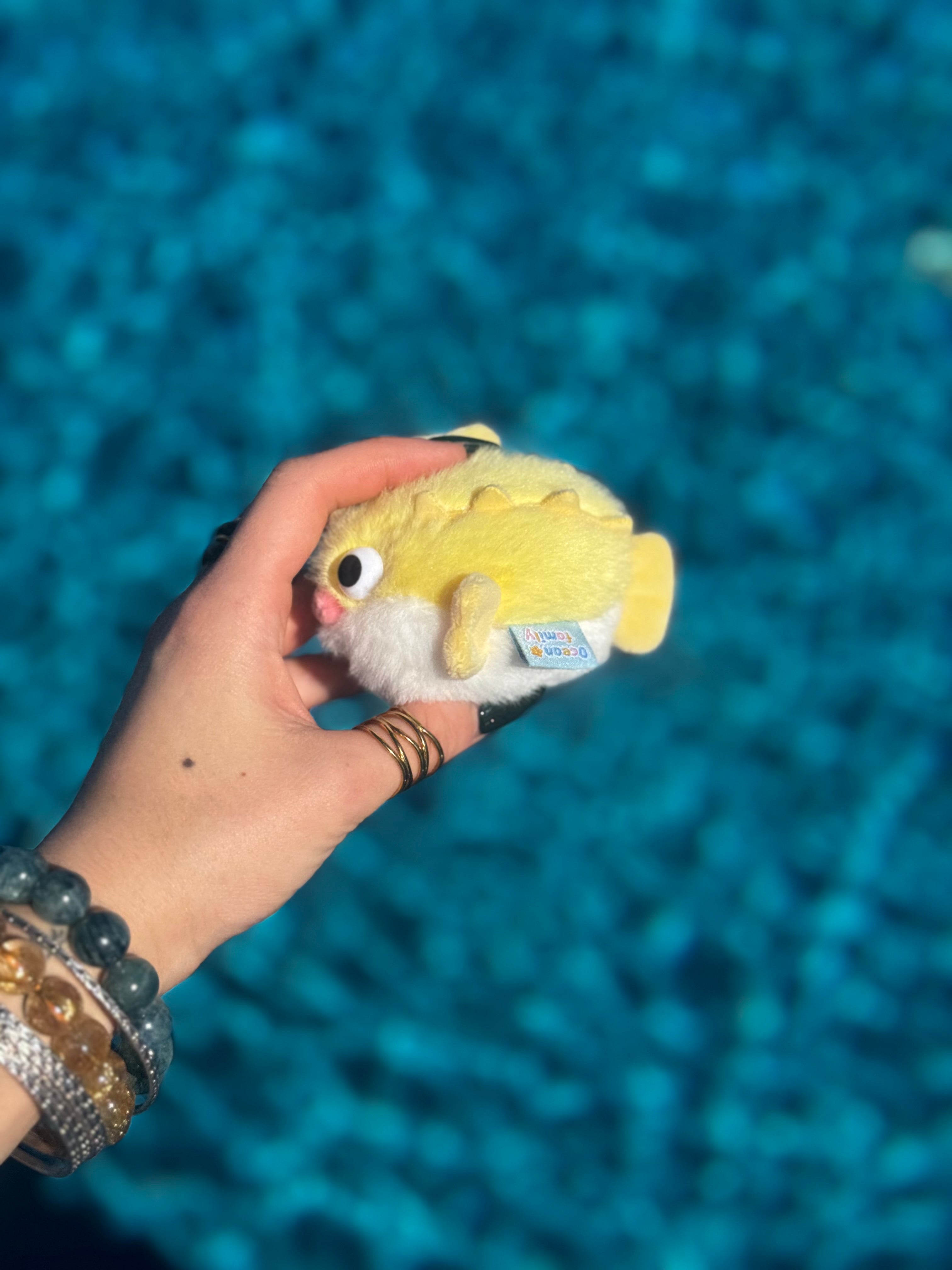 Puffer Fish Keychain
