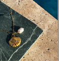 Load image into Gallery viewer, Seashell with Pearl Gold Necklace
