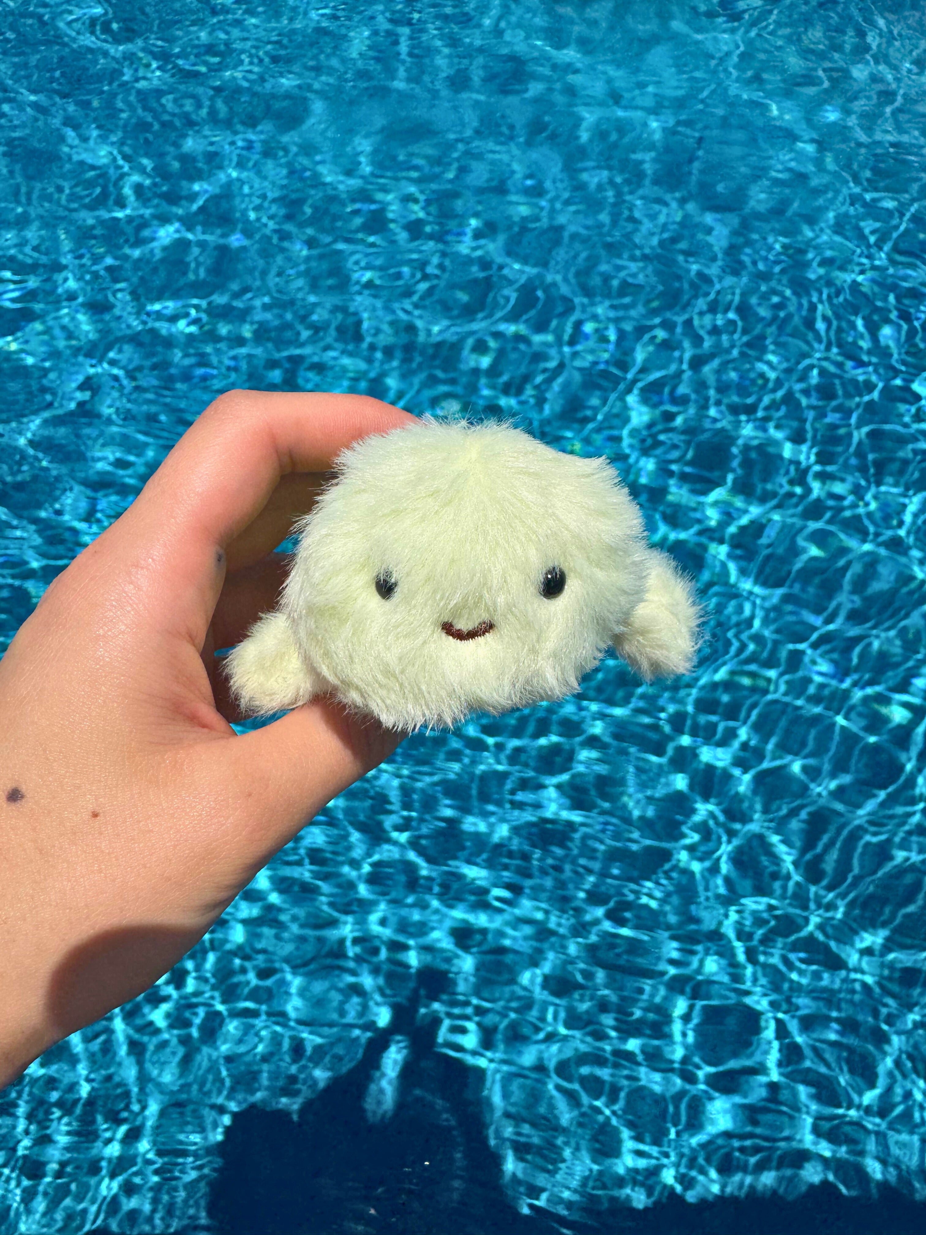 Turtle Keychain