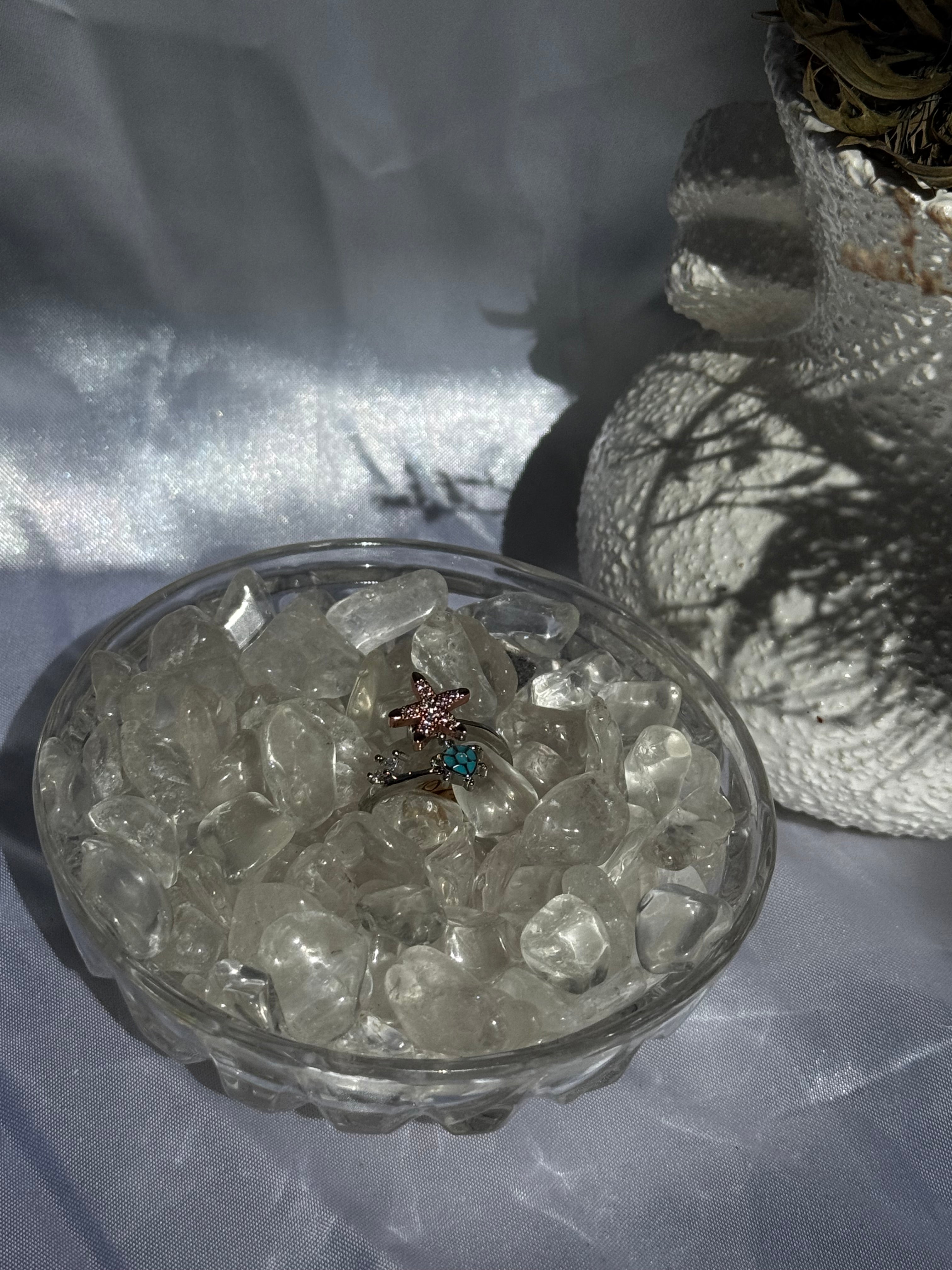 Sea turtles & Star Fidget ring