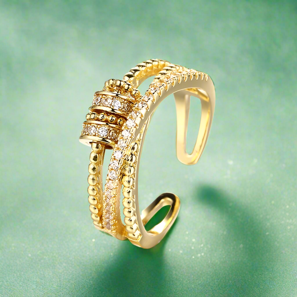 Gold Fidget Ring